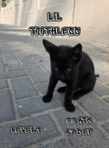 Custom Cat Photo Card Set (108 Cards) - Fully Customizable