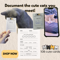 Cat Encounter Cards Deck🐈 – 108 Cards for Recording Every Cat You Meet