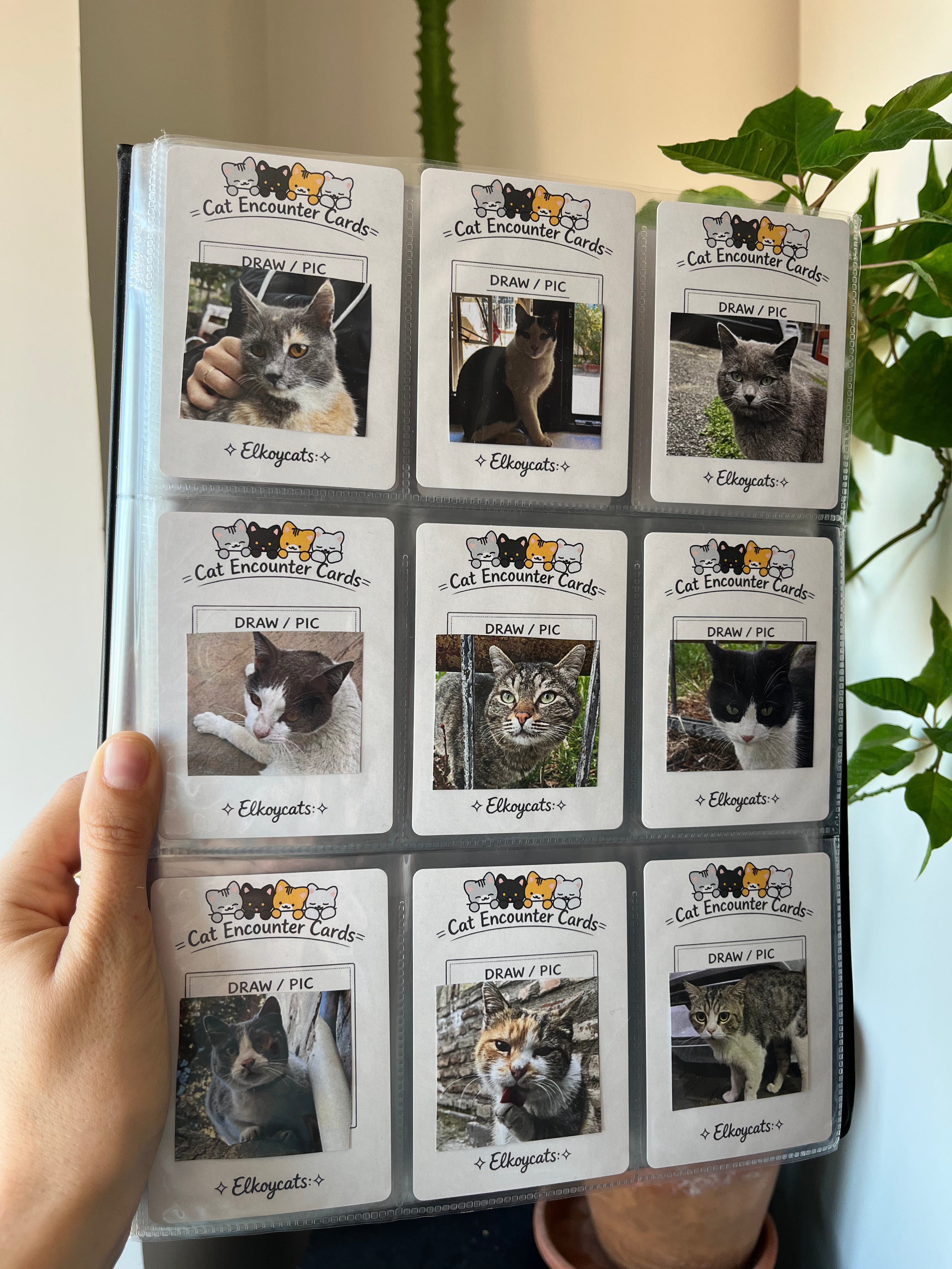 Cat Encounter Cards Deck🐈 – 108 Cards for Recording Every Cat You Meet