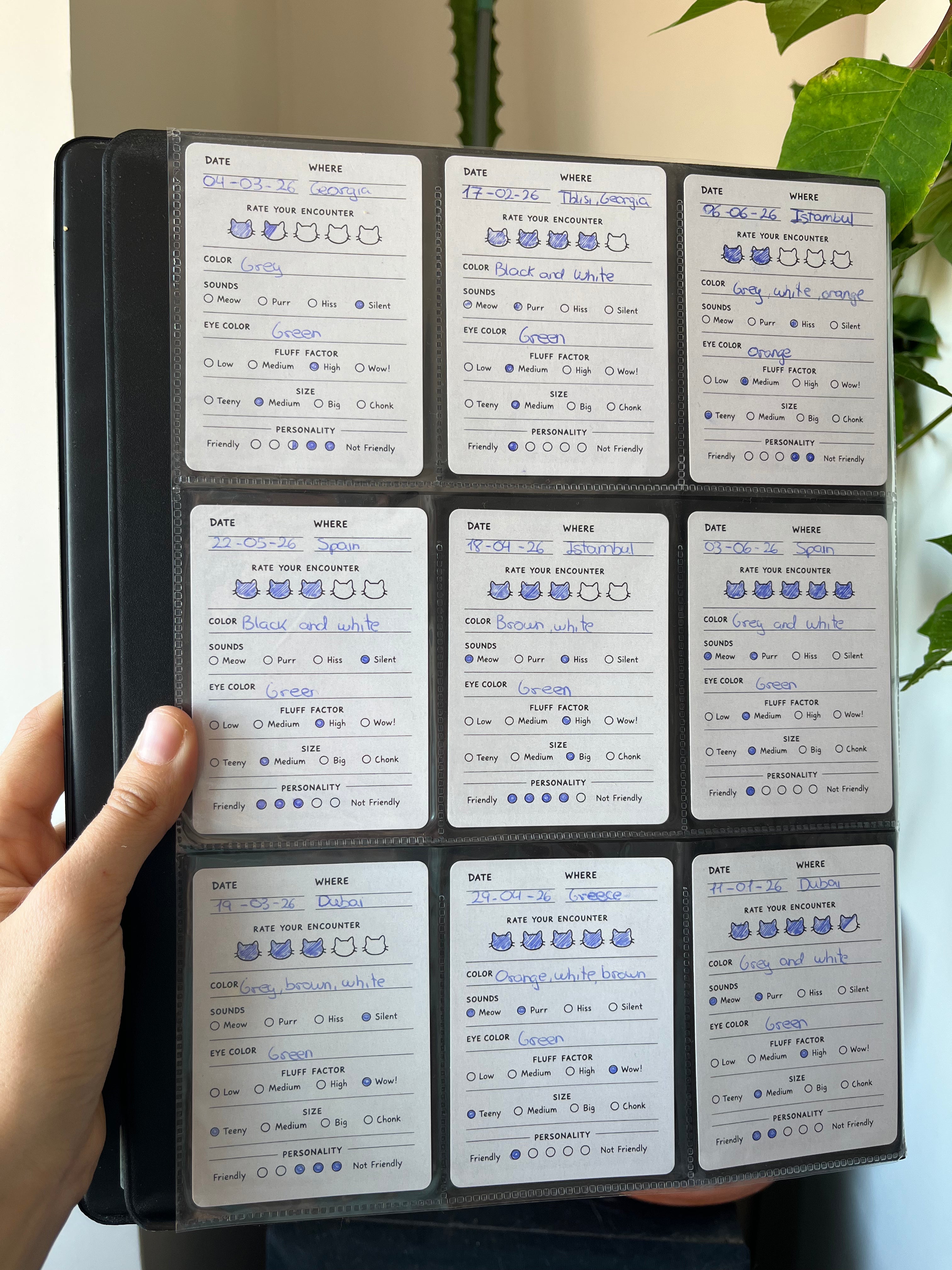 Cat Encounter Cards Deck🐈 – 108 Cards for Recording Every Cat You Meet
