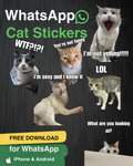 FREE Cat Stickers PNG Pack (WhatsApp-ready)