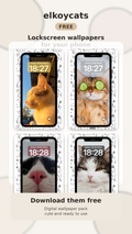 Cat 🐈 Lockscreen Wallpaper Pack📲 – Free Digital Download