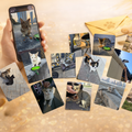 Custom Cat Photo Card Set (108 Cards)