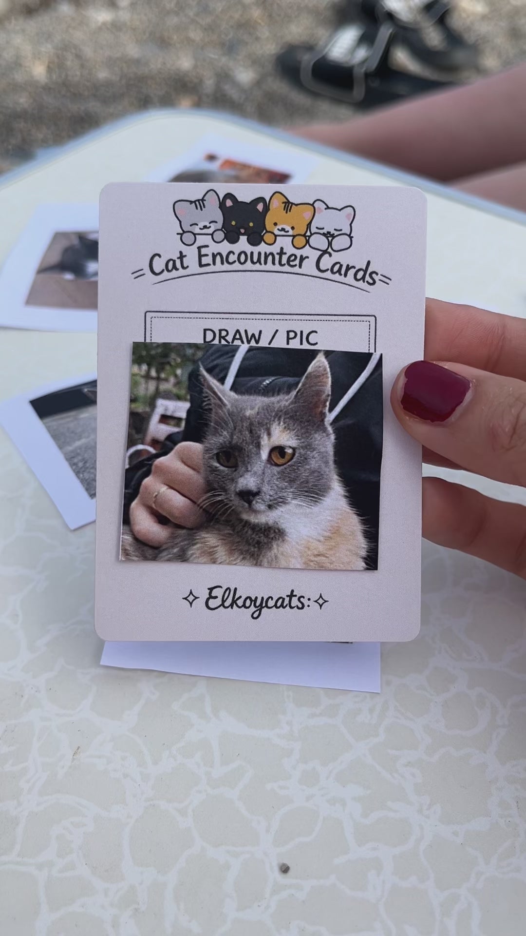 Cat Encounter Cards Deck🐈 – 108 Cards for Recording Every Cat You Meet