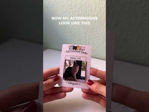 Cat Encounter Cards Deck🐈 – 108 Cards for Recording Every Cat You Meet