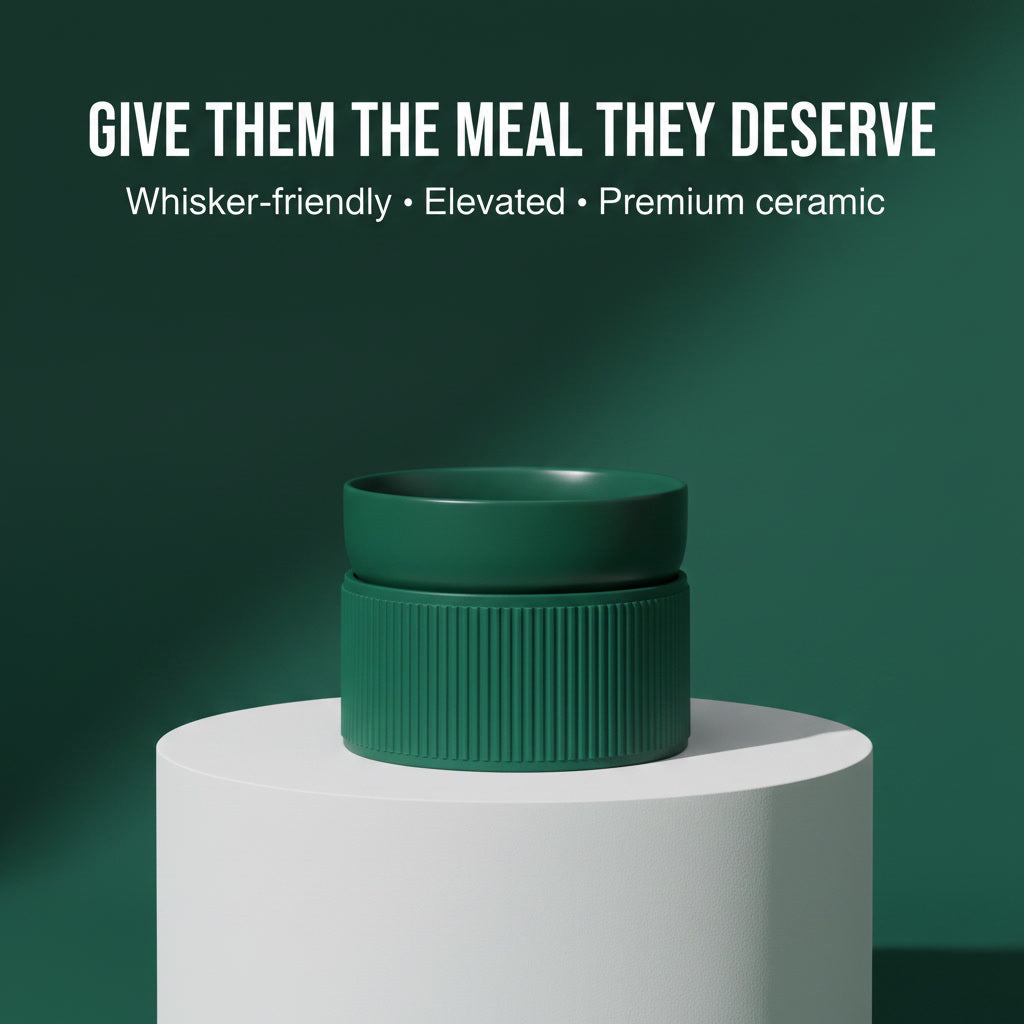 Whisker-Friendly Ceramic Cat Bowl — Non-Slip, Shallow Design for Comfy Meals
